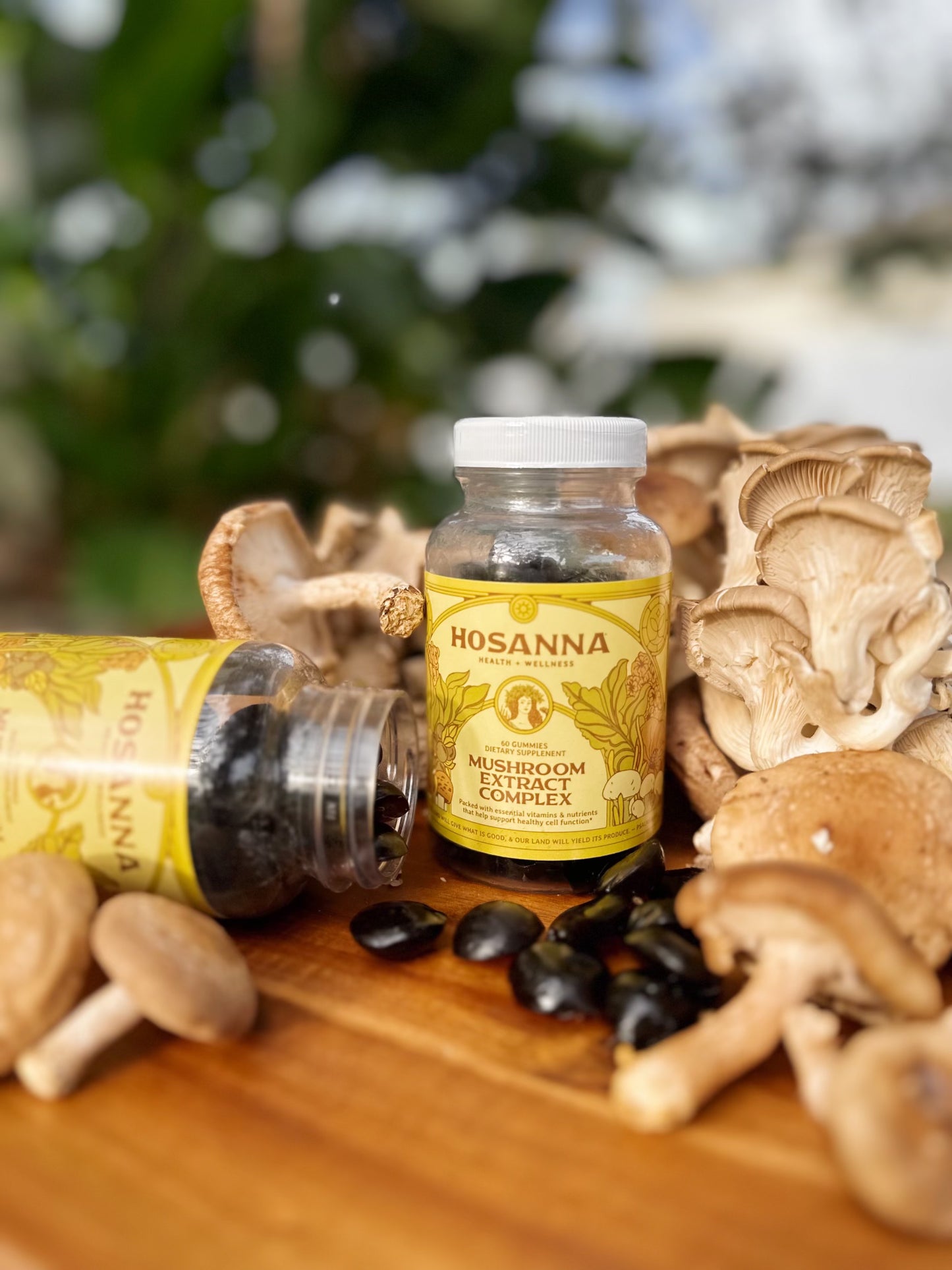 Mushroom Extract Complex